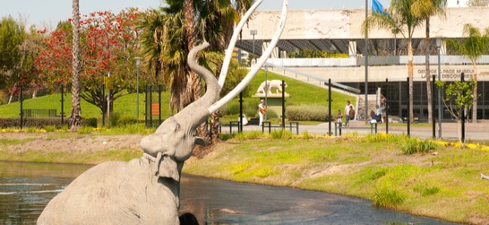 entrance to the la brea tar pits and museum